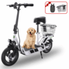 Isinwheel Hyper X Electric Scooter