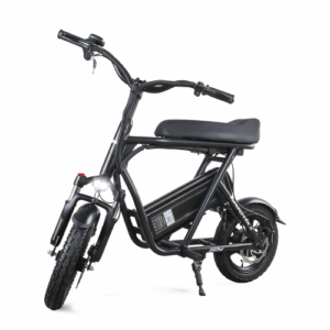 Emove RoadRunner SE